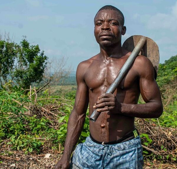 Strengthen Your Growth 120820448 Digital Tools