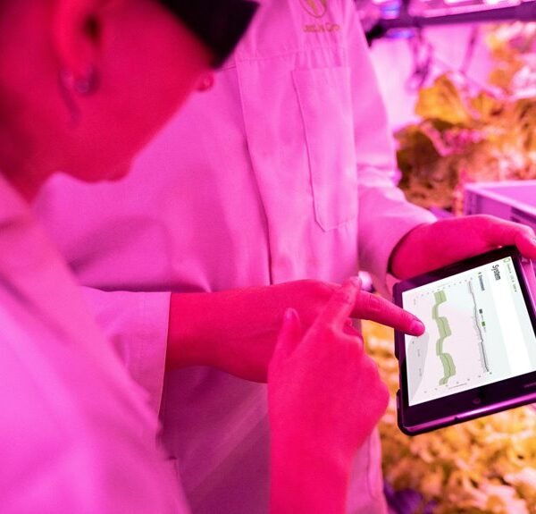 Strengthen Your Growth 931998864 Digital Tools