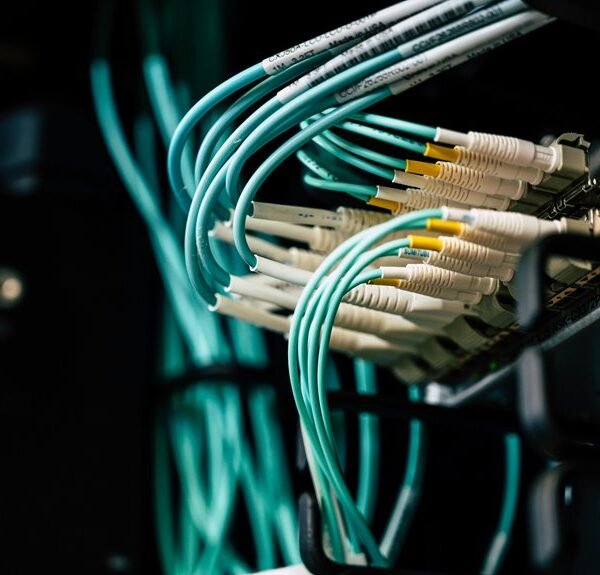 Creative Digital Network 687259923 Cloud Suite