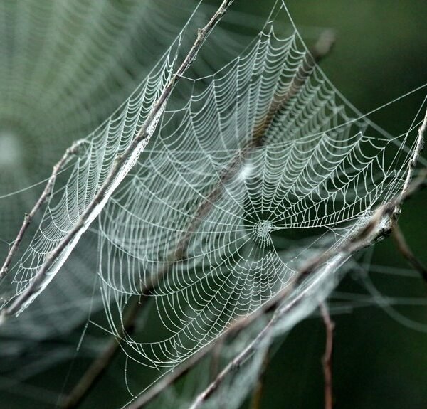 Creative Web Engine 969365213 Cloud Network